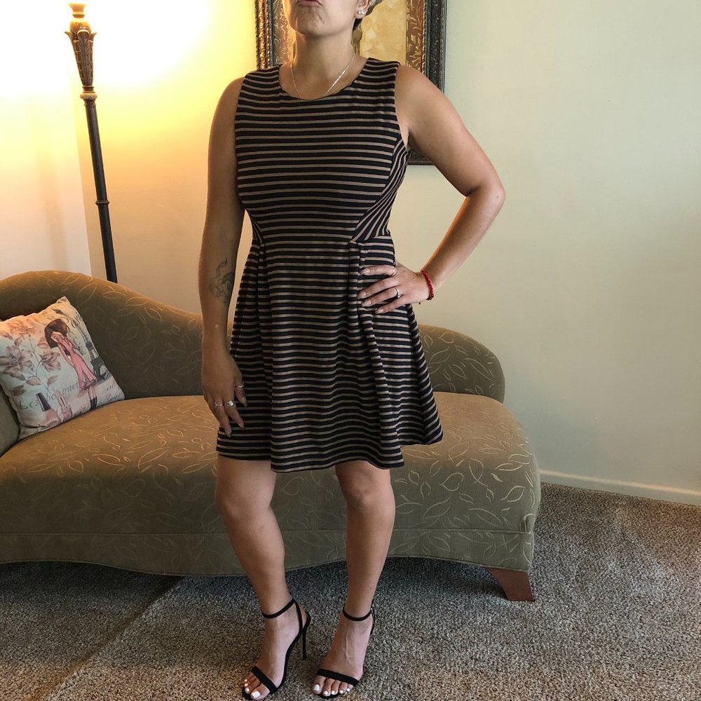 BAR III brown & black striped dress